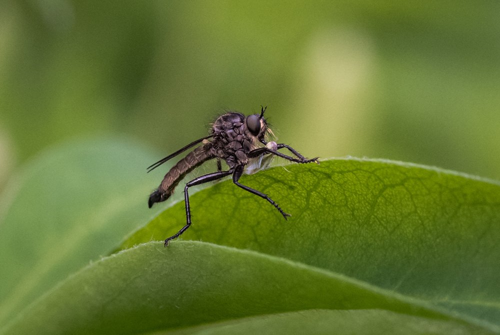 Photograph by Ирина Моросеева