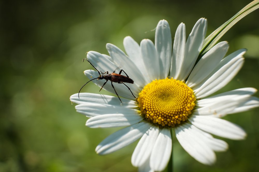 Photograph by Алексей Баженов