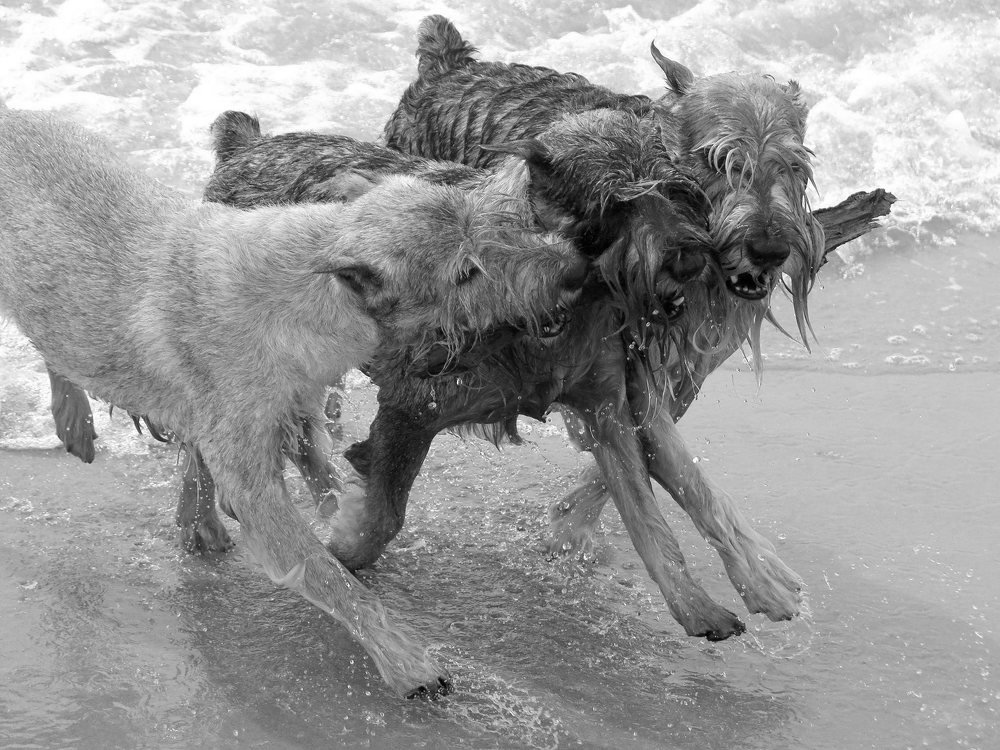 Фотография автора Ольга Завадилика