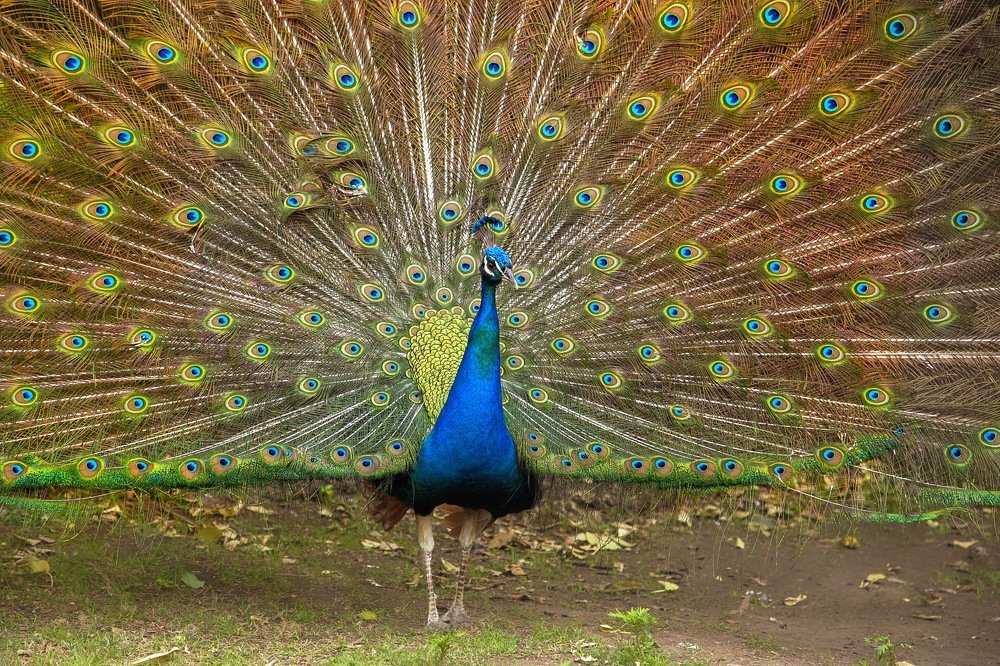 Photograph by Анна