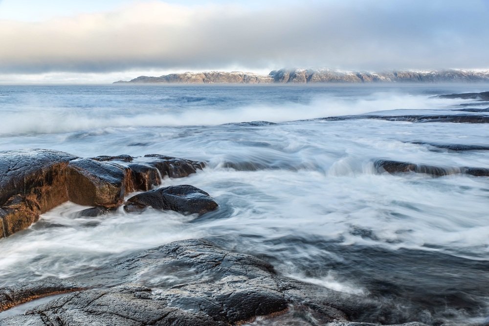 Photograph by Anna Frizen