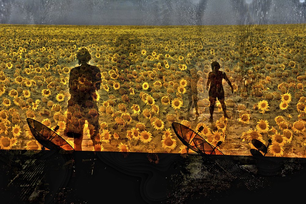 Фотография автора Marcelo Albert dos Santos