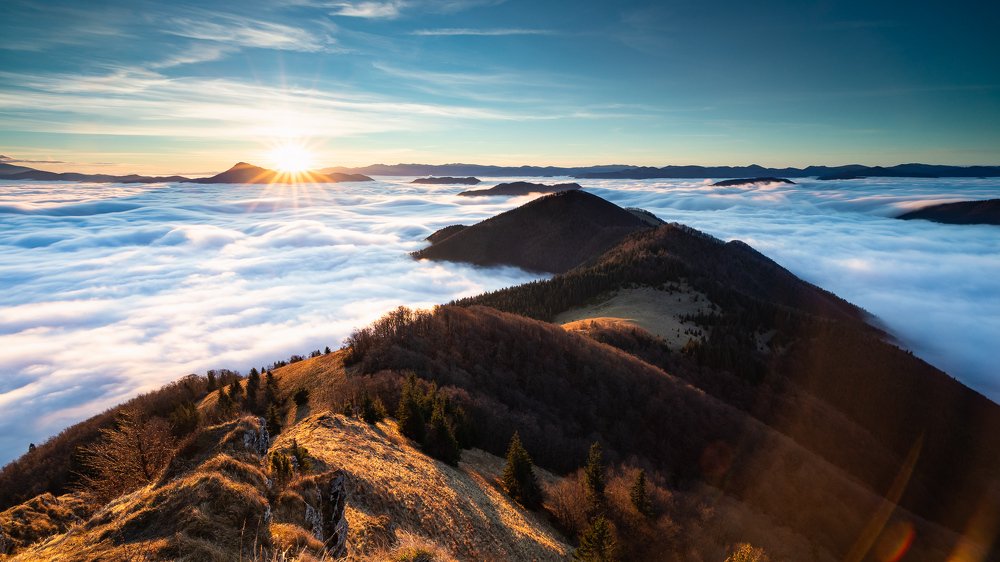 Energy for a new day...