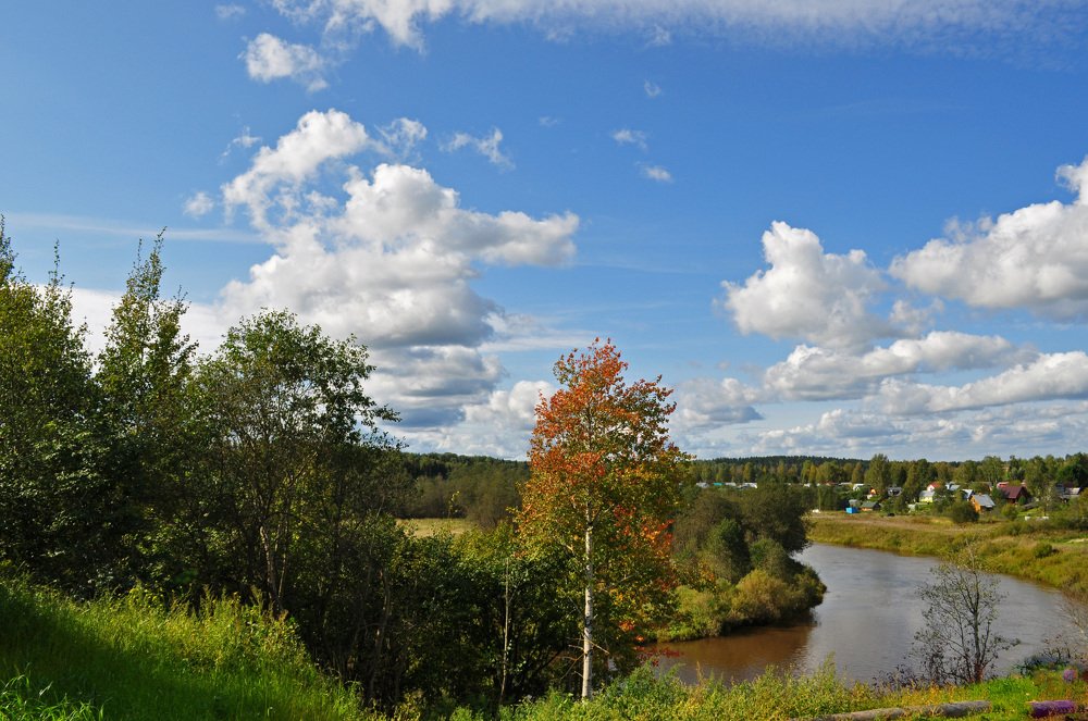 Фотография автора Наталья Липовская