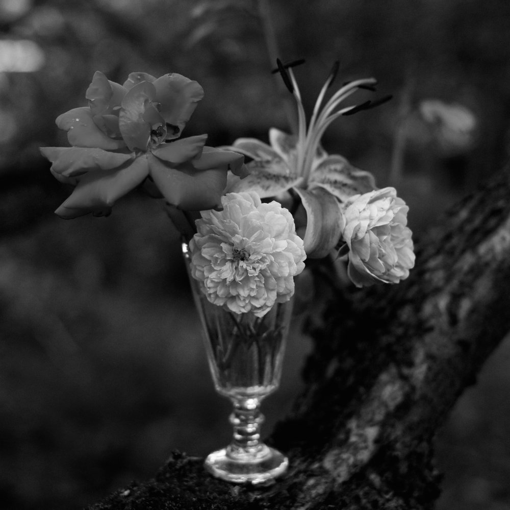 Photograph by Дмитрий