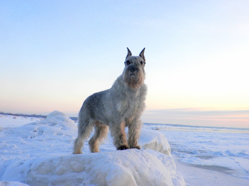 Фотография автора Ольга Завадилика