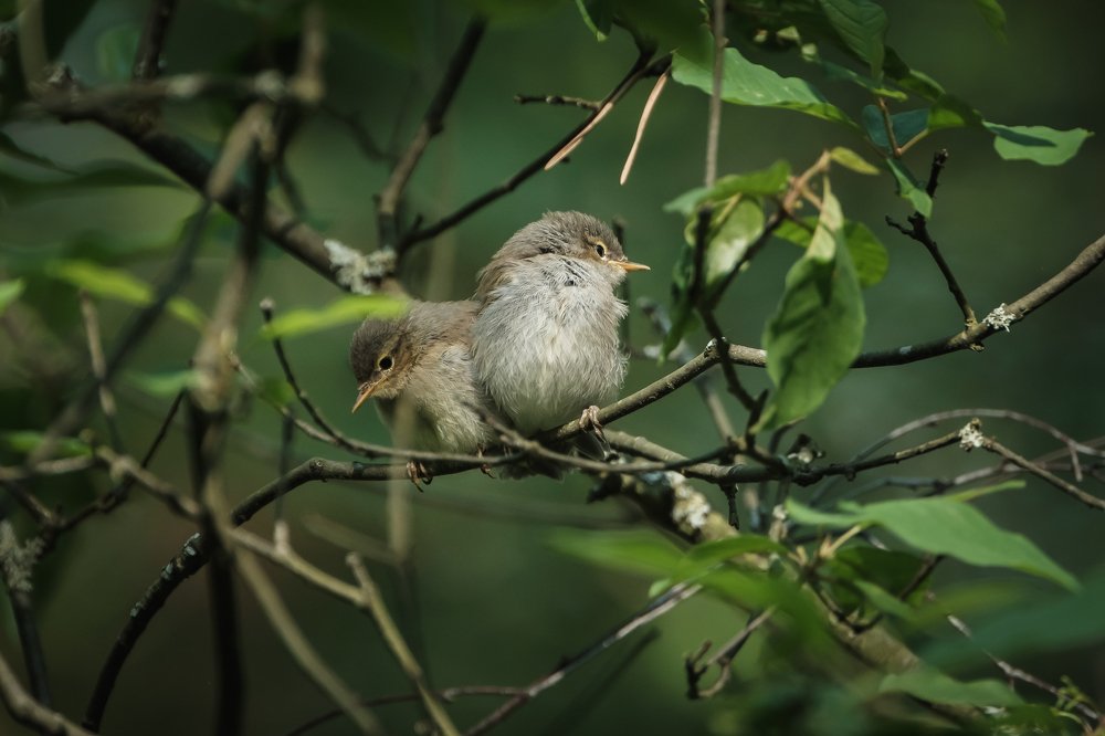 Photograph by Алексей Баженов
