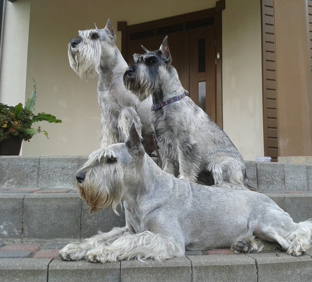 Фотография автора Ольга Завадилика