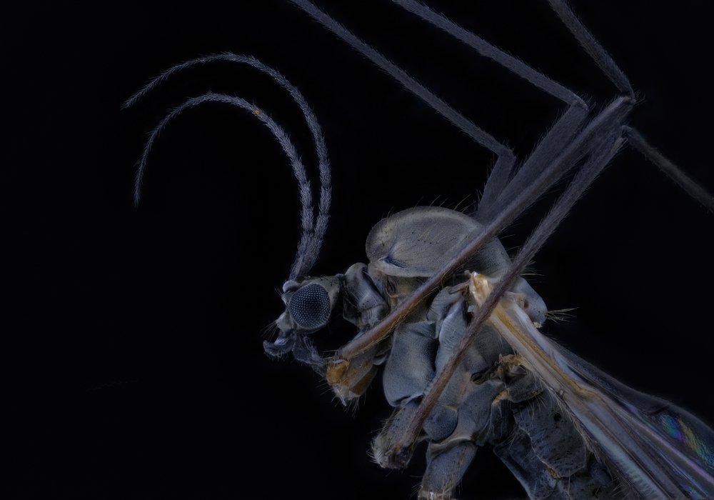 Photograph by Антон Орленко