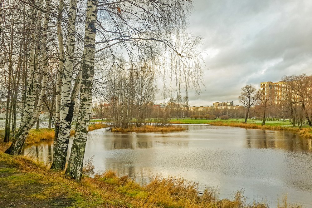 Скоро зима...