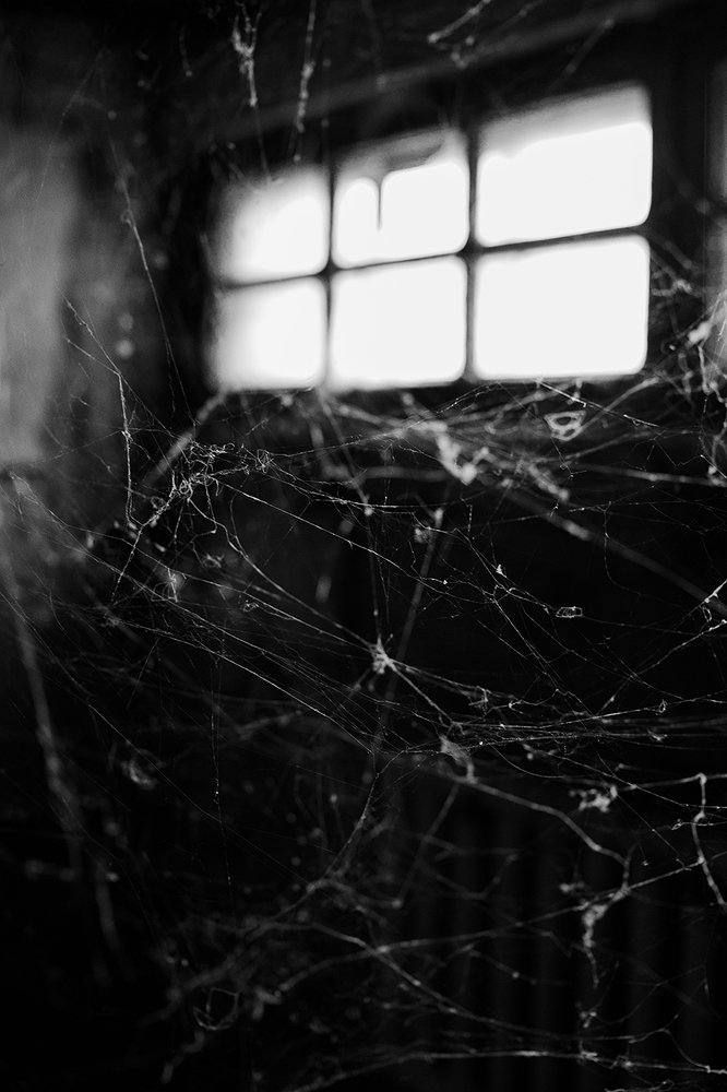 Web