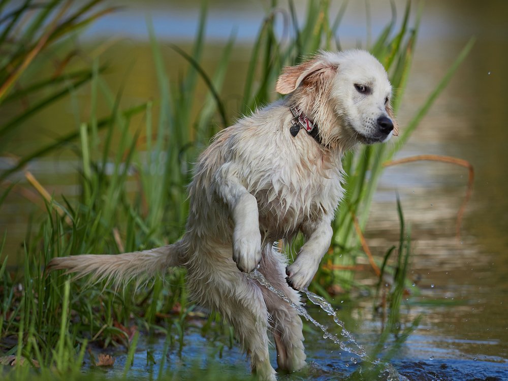 Photograph by Алексей Горшенин