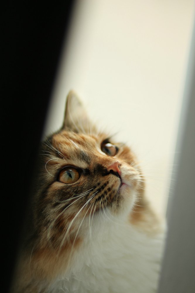 Photograph by Мария Градович