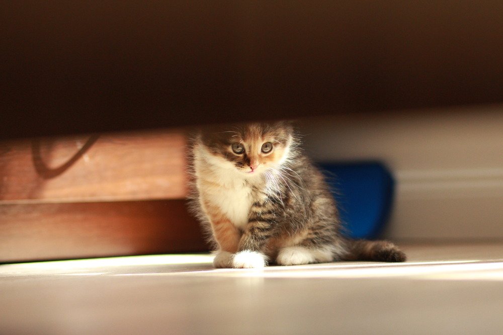 Photograph by Мария Градович