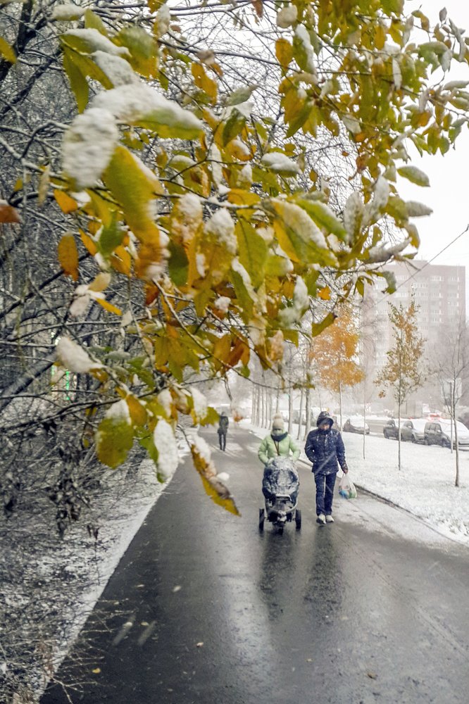 Первая метель