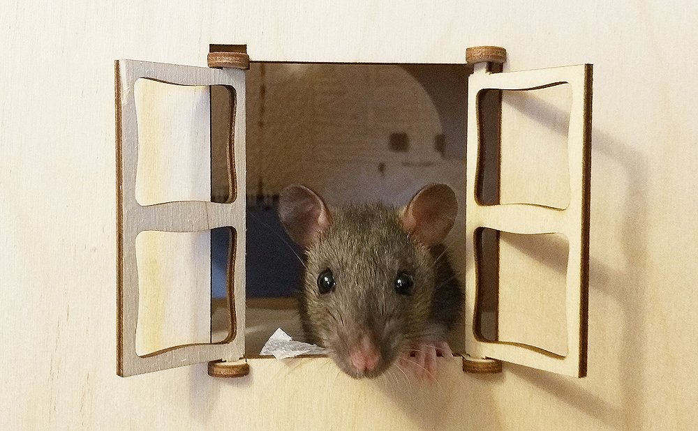 Photograph by Ирина Арканова