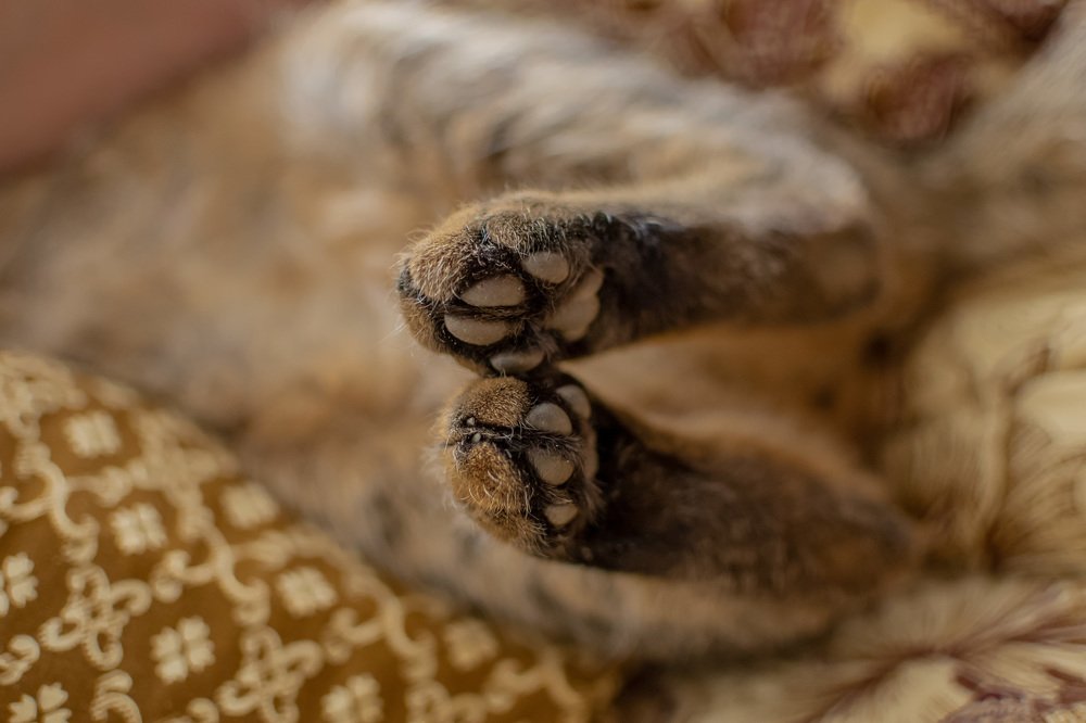 Photograph by Евгений