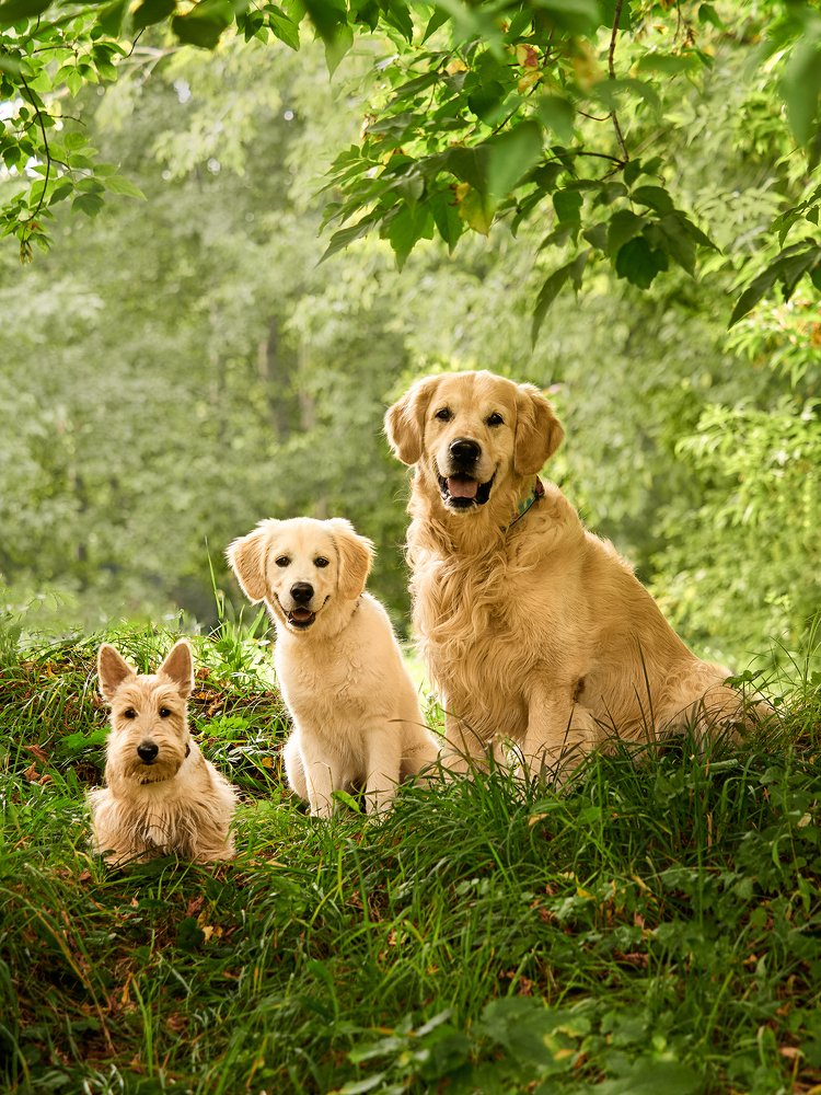 Photograph by Алексей Горшенин