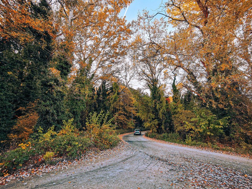 Photograph by Вадим Тихонов