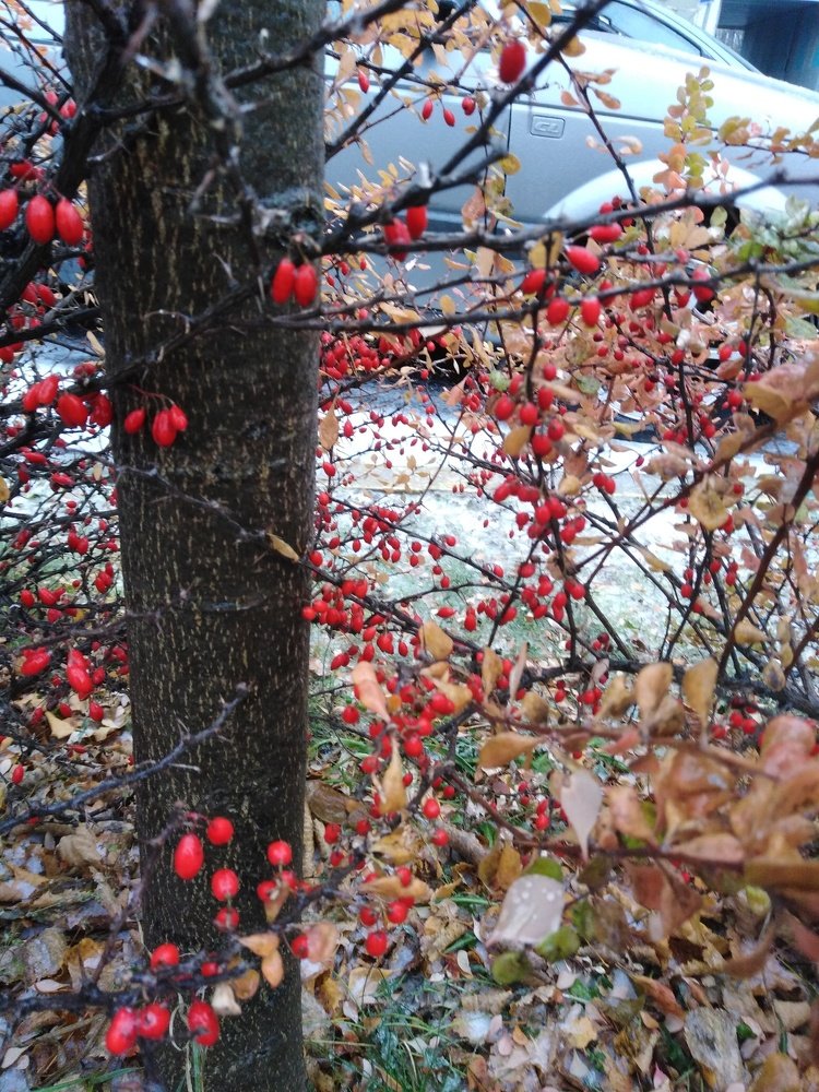 Photograph by Татьяна Ситникова