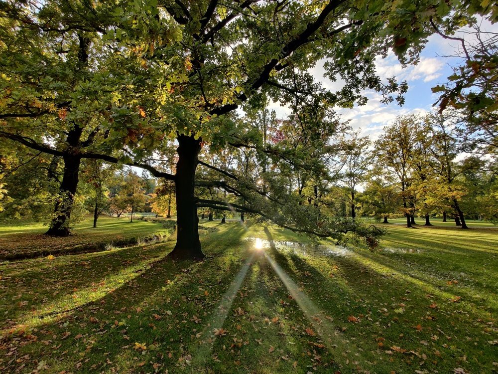 Фотография автора Lujza Stoklas