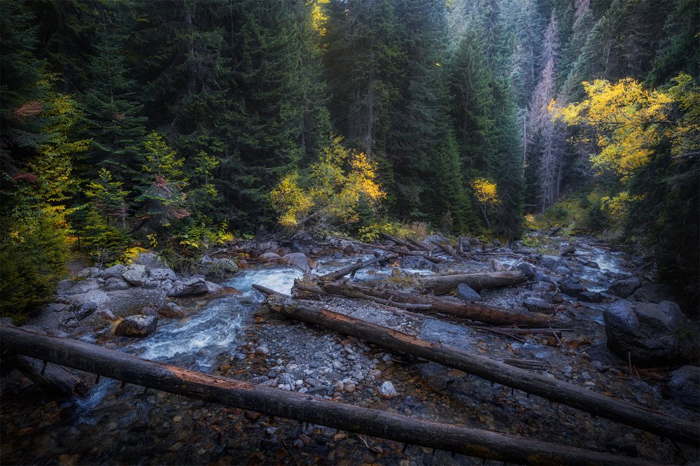 Photograph by Алексей Агеев