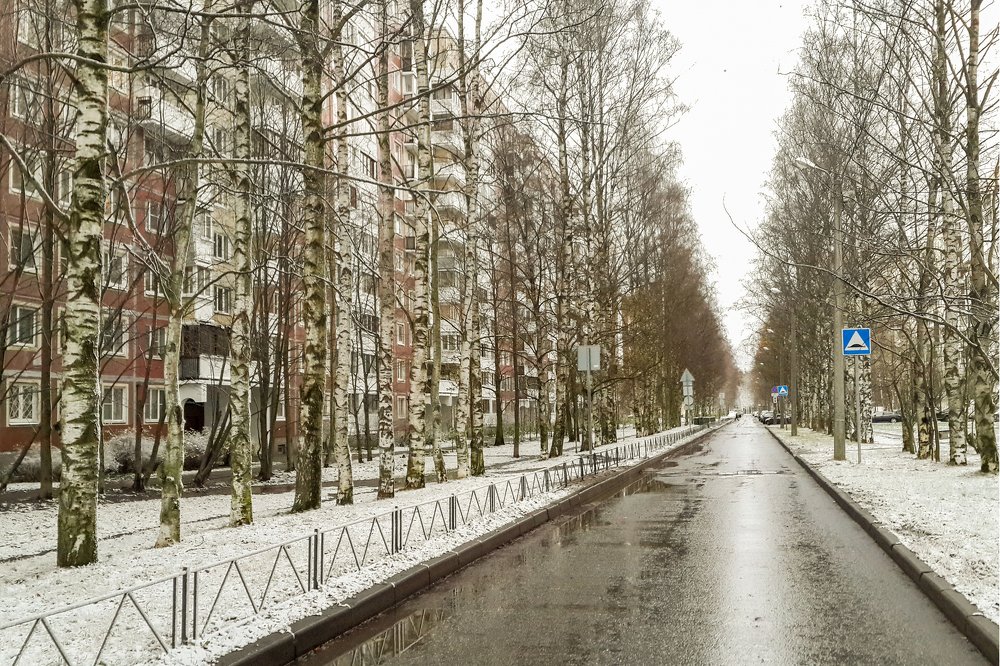 г. COVID. Самоизоляция