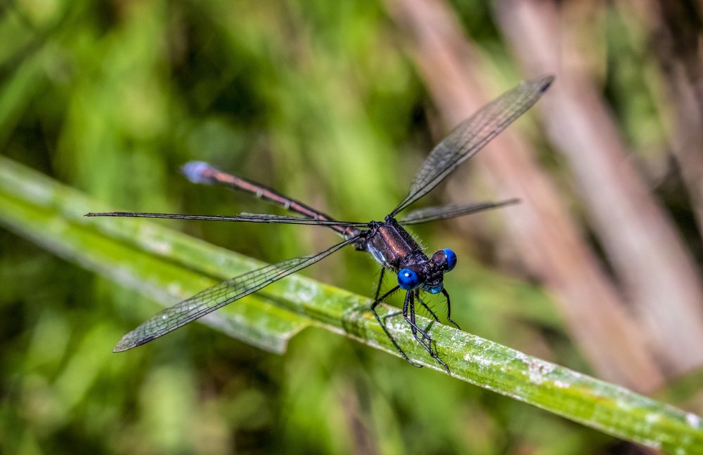 Photograph by Андрей Калинин