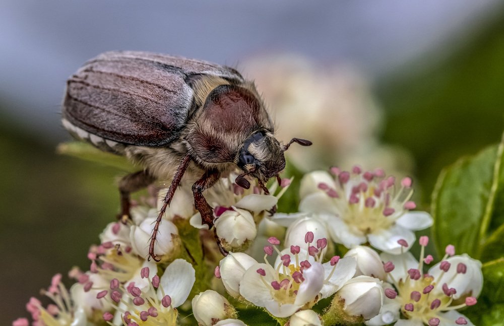 Photograph by Андрей Калинин