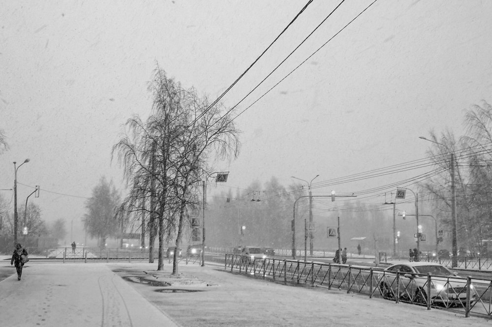 Туманная видимость.