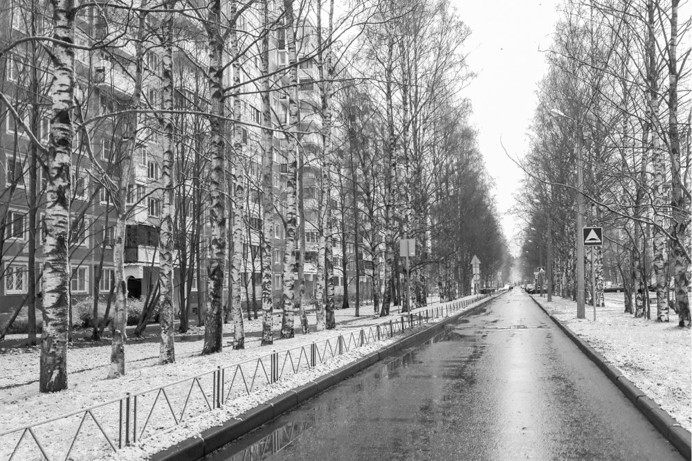 Самоизоляция. г. COVID-19.