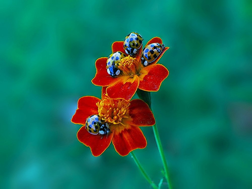 Photograph by 
