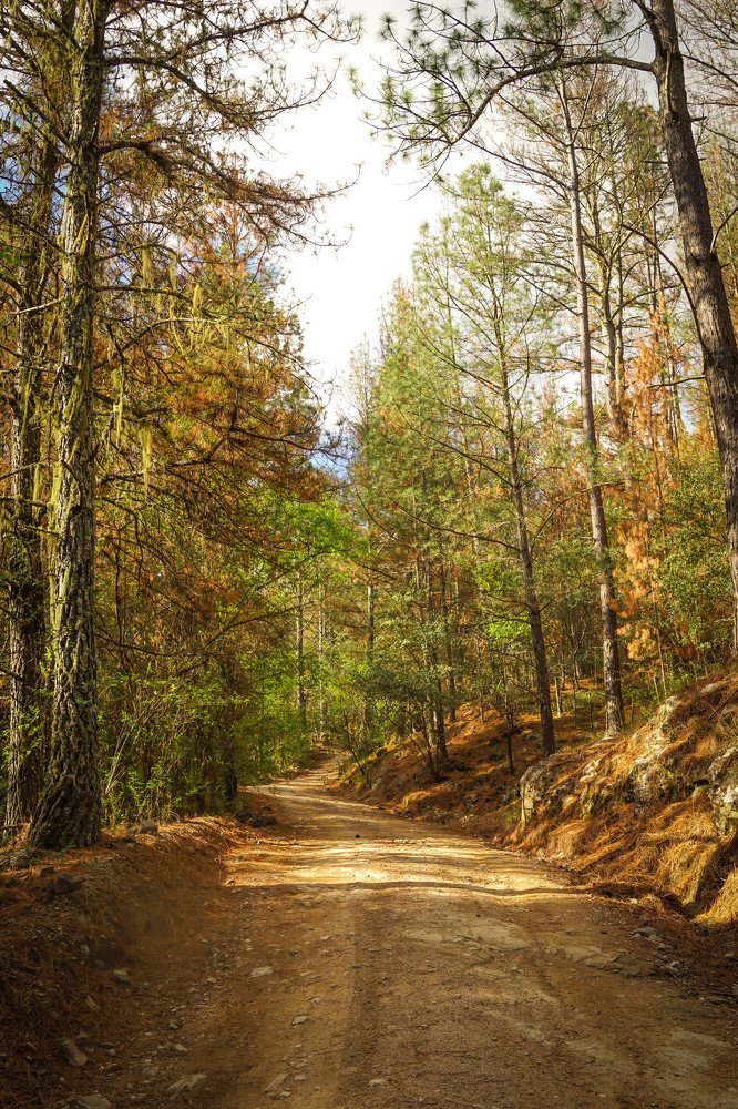 Photograph by Karina Elena Bergagna