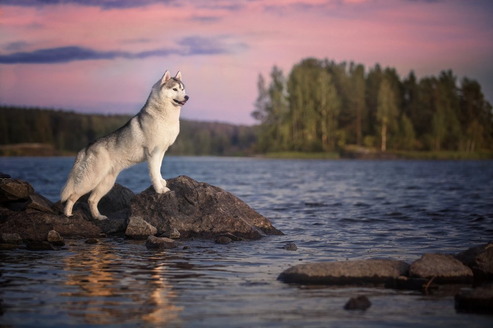 Photograph by Андрей Ершов