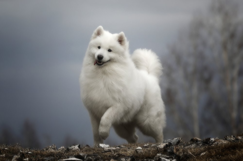 Photograph by Андрей Ершов