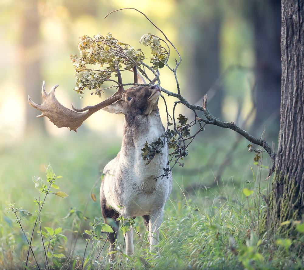 Photograph by Marcin Kaczmarkiewicz