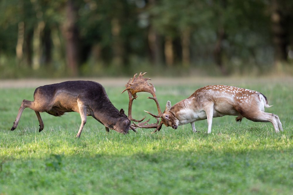 Photograph by Marcin Kaczmarkiewicz