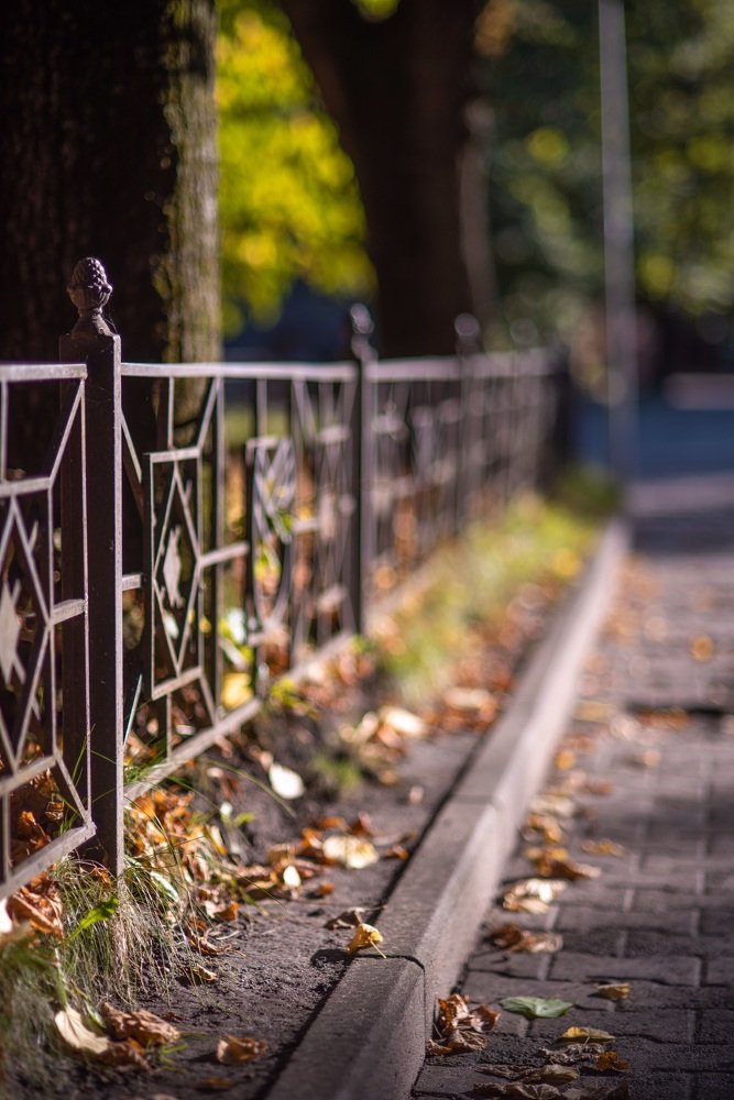 Photograph by Андрей Анисимов