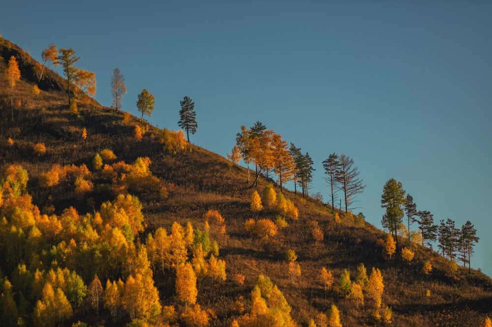 Photograph by Ольга Шацкая