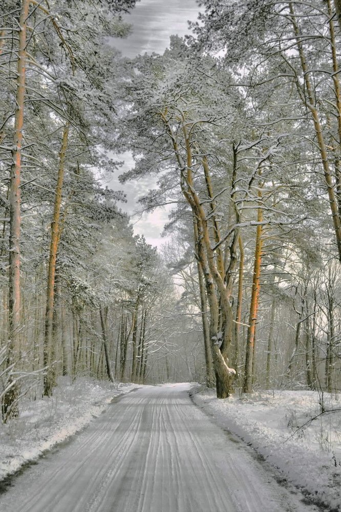 Зимняя дорога