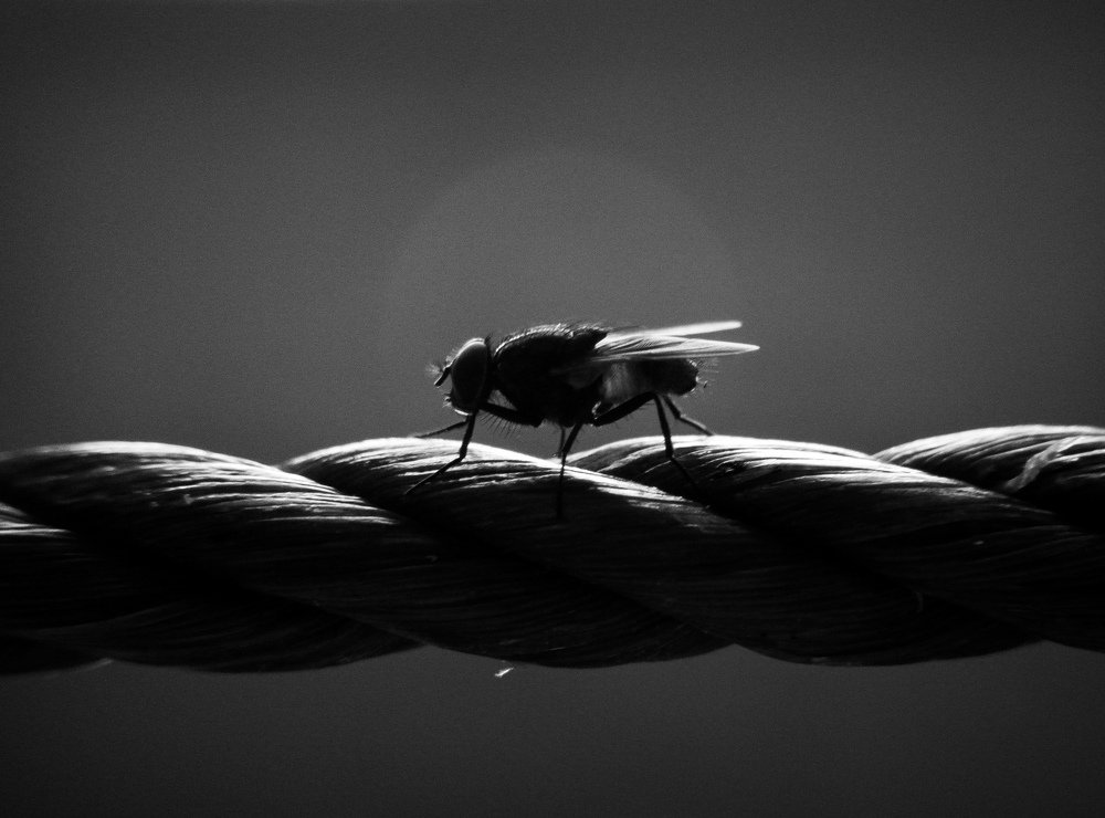 Photograph by Ubaid Mohammad