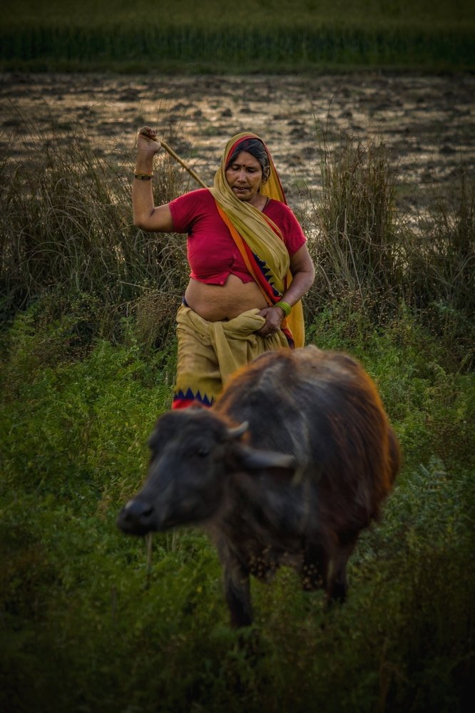 Photograph by Ubaid Mohammad