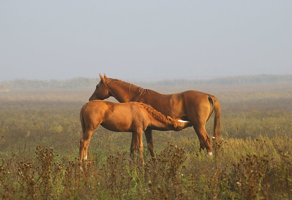 Photograph by Ionika Mink