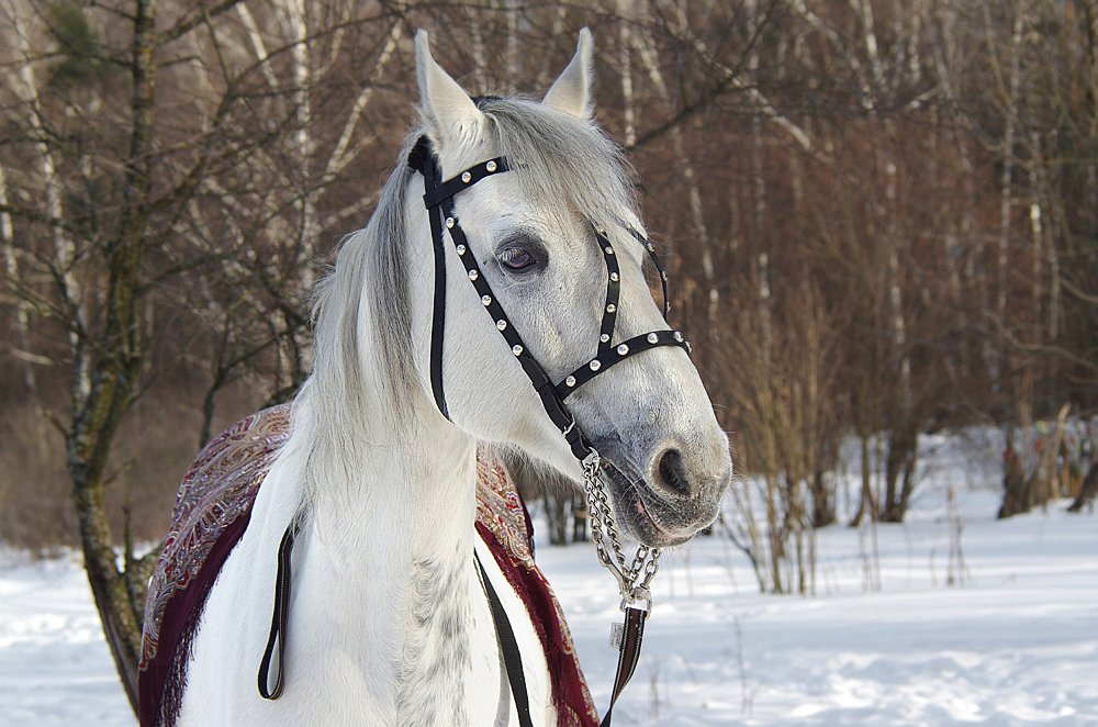 Photograph by Ionika Mink