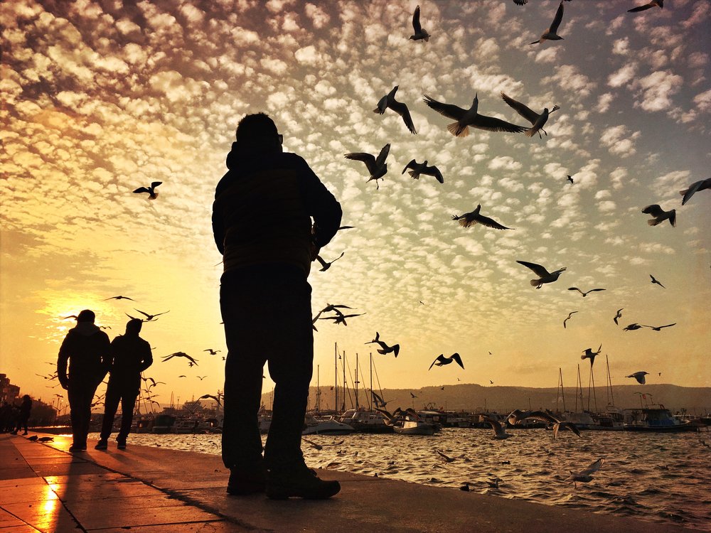 Photograph by Yalim Vural