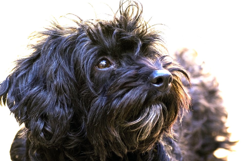 Photograph by Fabian Eder