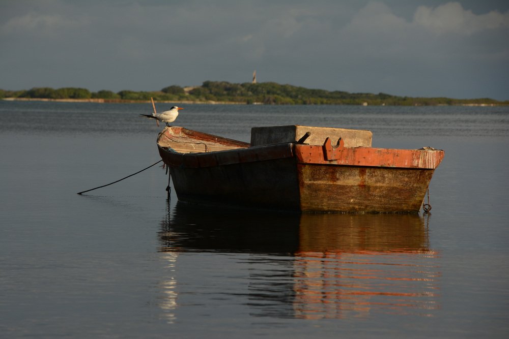 Photograph by Lidia Losada Campaña