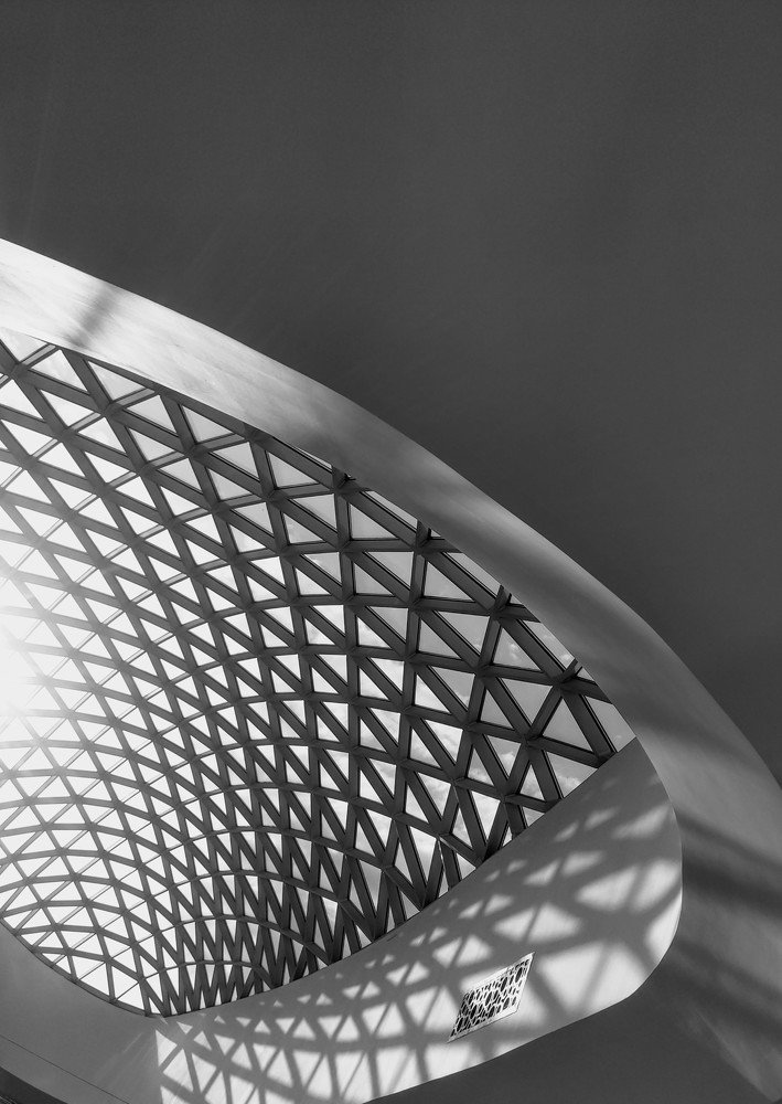 Линии мыслей. Lines of thought.