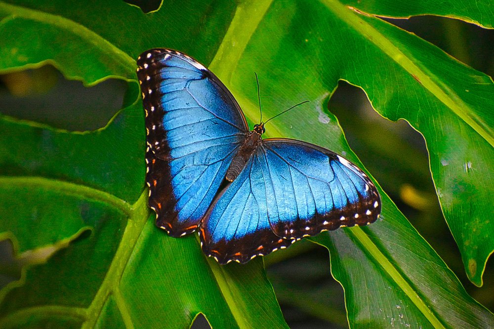 Photograph by Amanda Raymond