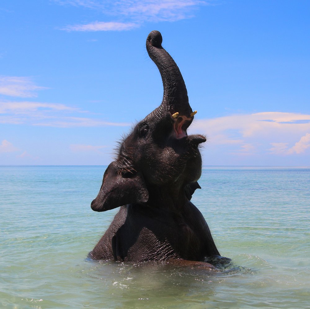 Photograph by Александр Юдин